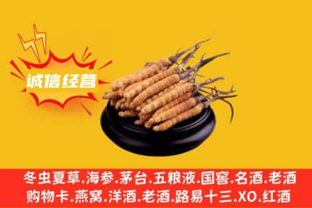 凉山州会理回收冬虫夏草
